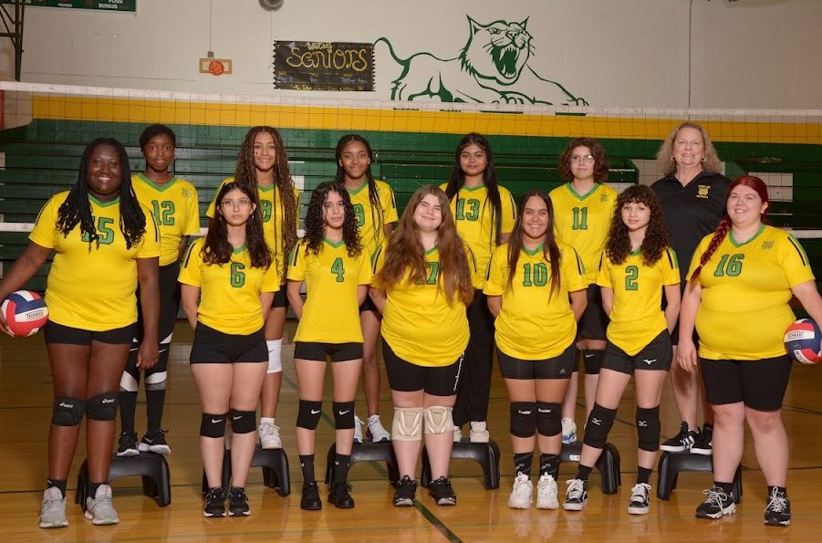 Junior Varsity Volleyball