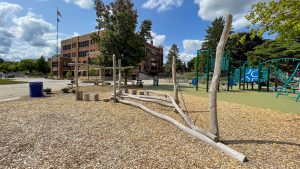 Neeskara's new playground.